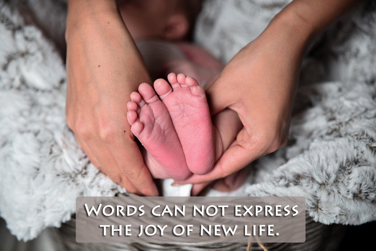 Words can not express the joy of new life