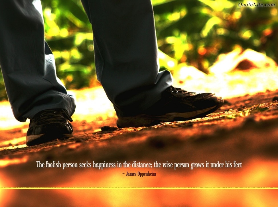 the foolish person seeks happiness in distance