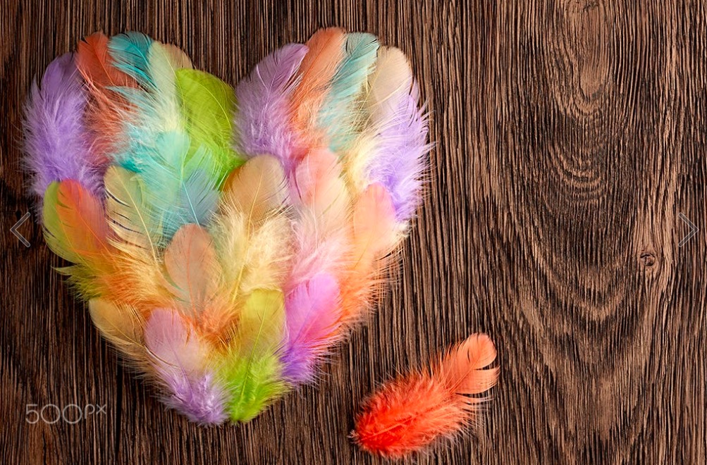 Heart made of colorful feathers on wood