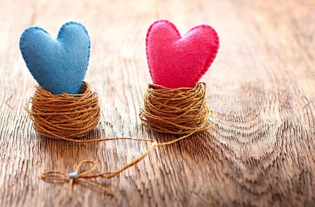 Love hearts handmade on wood. Valentines Day. Couple in nests
