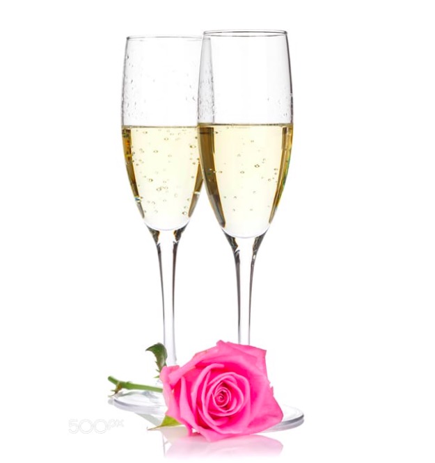 Two champagne glasses and pink rose flower