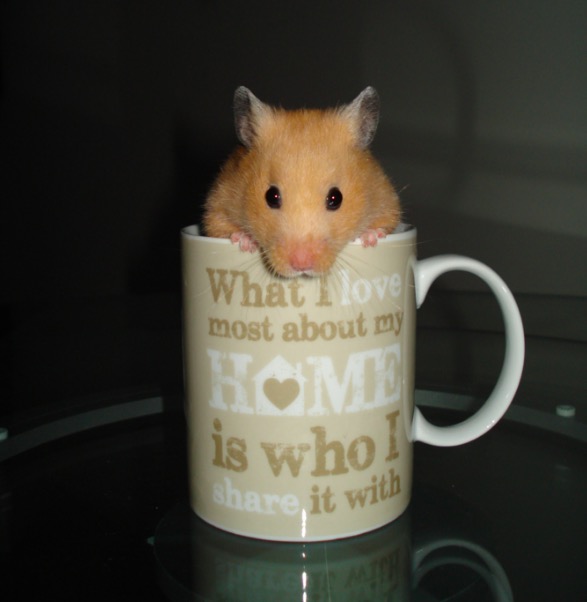 What I love most about