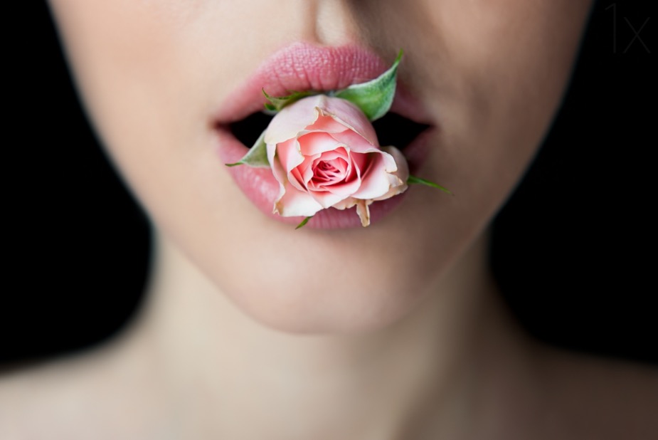 Rose1