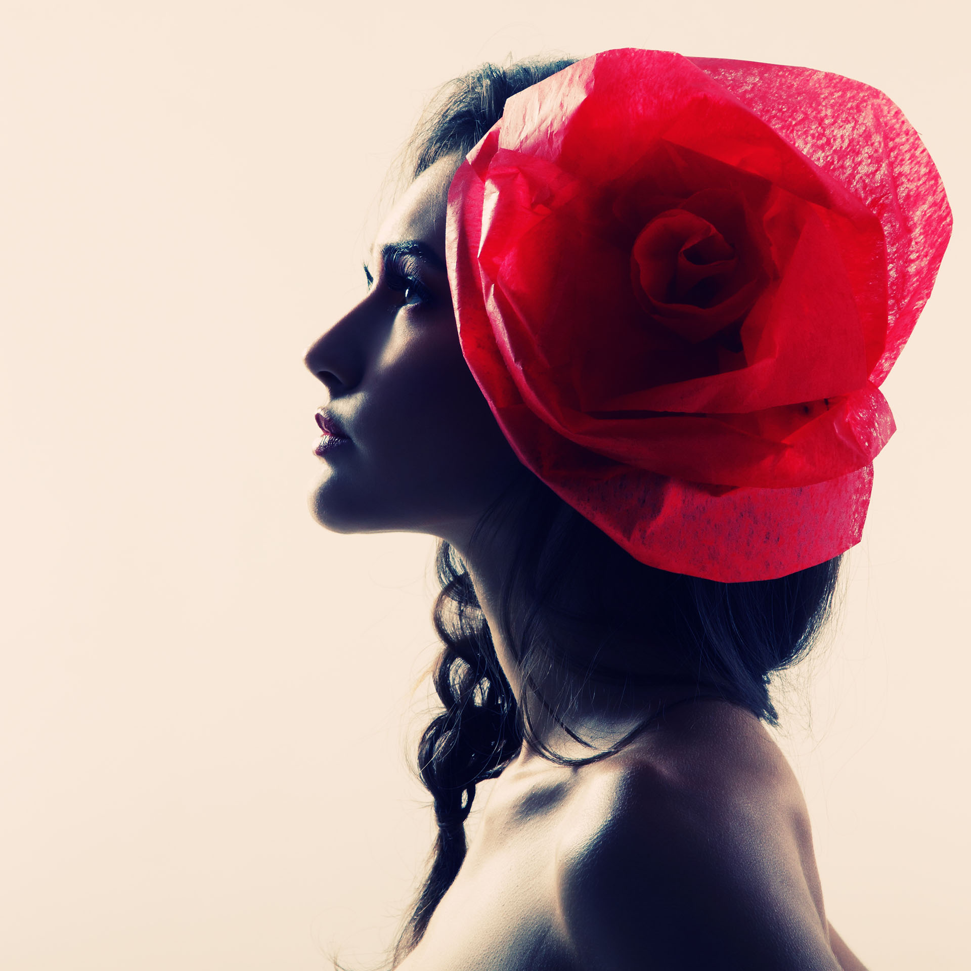 Vintage portrait of fashion glamour girl with red flower in her hair, over white
