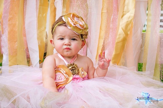 Gorgeous Light Pink and Gold Tutu Dress
