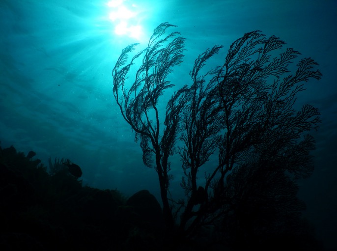 Light underwater