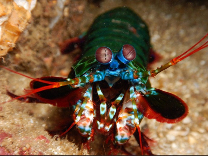 Underwater mode