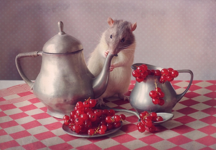 Enjoying meal