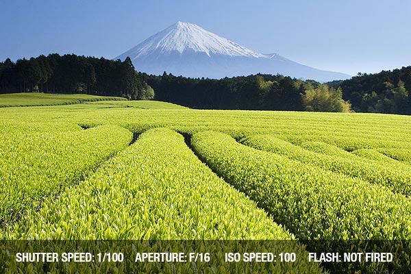 Image Source: exposureguide.com