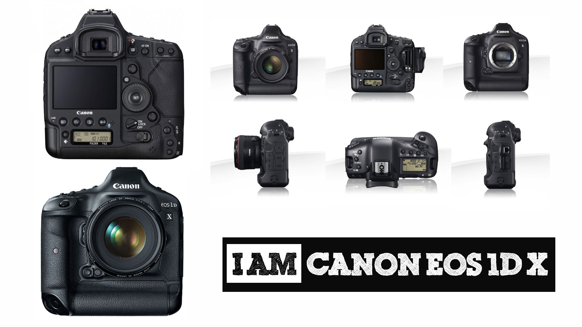 Canon EOS 1D X review