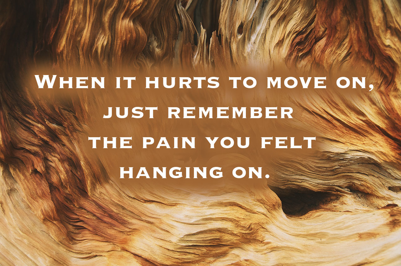 when-it-hurts-to-move-on-just-remember-the-pain-you-felt-hanging-on