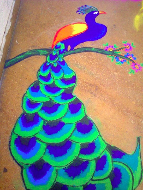amazing-shades-of-peacock-rangoli