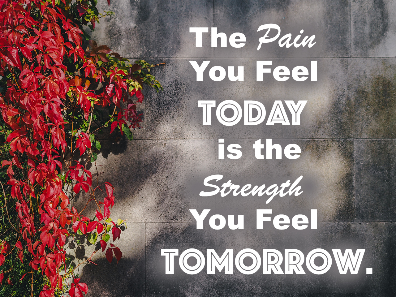 the-pain-you-feel-today-is-the-strength-you-feel-tomorrow