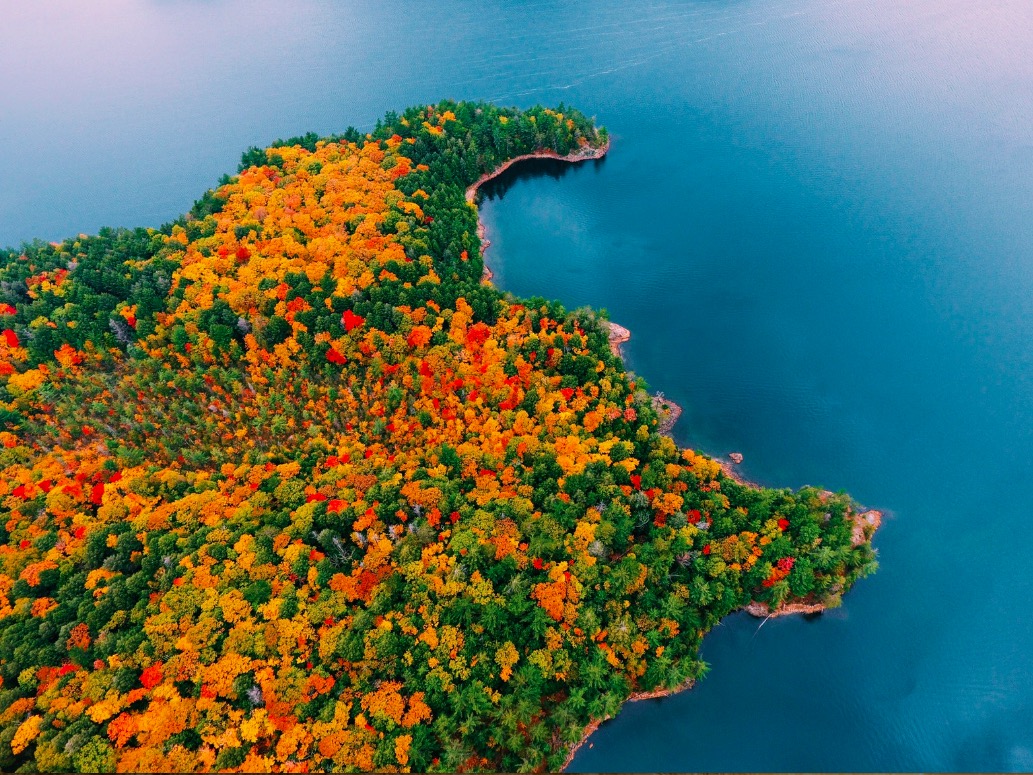Fall in Northern Ontario