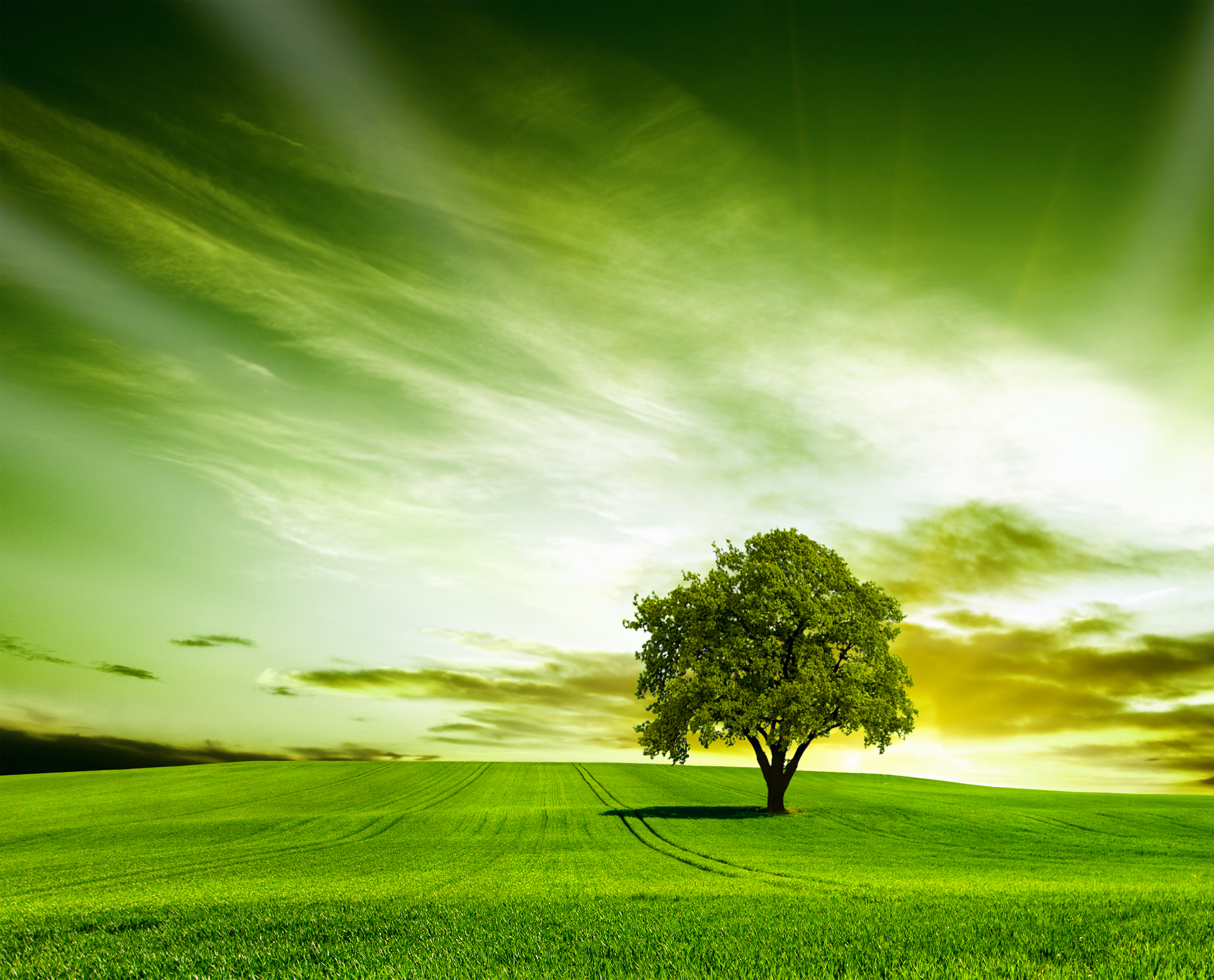 Beautiful Green Nature Wallpaper