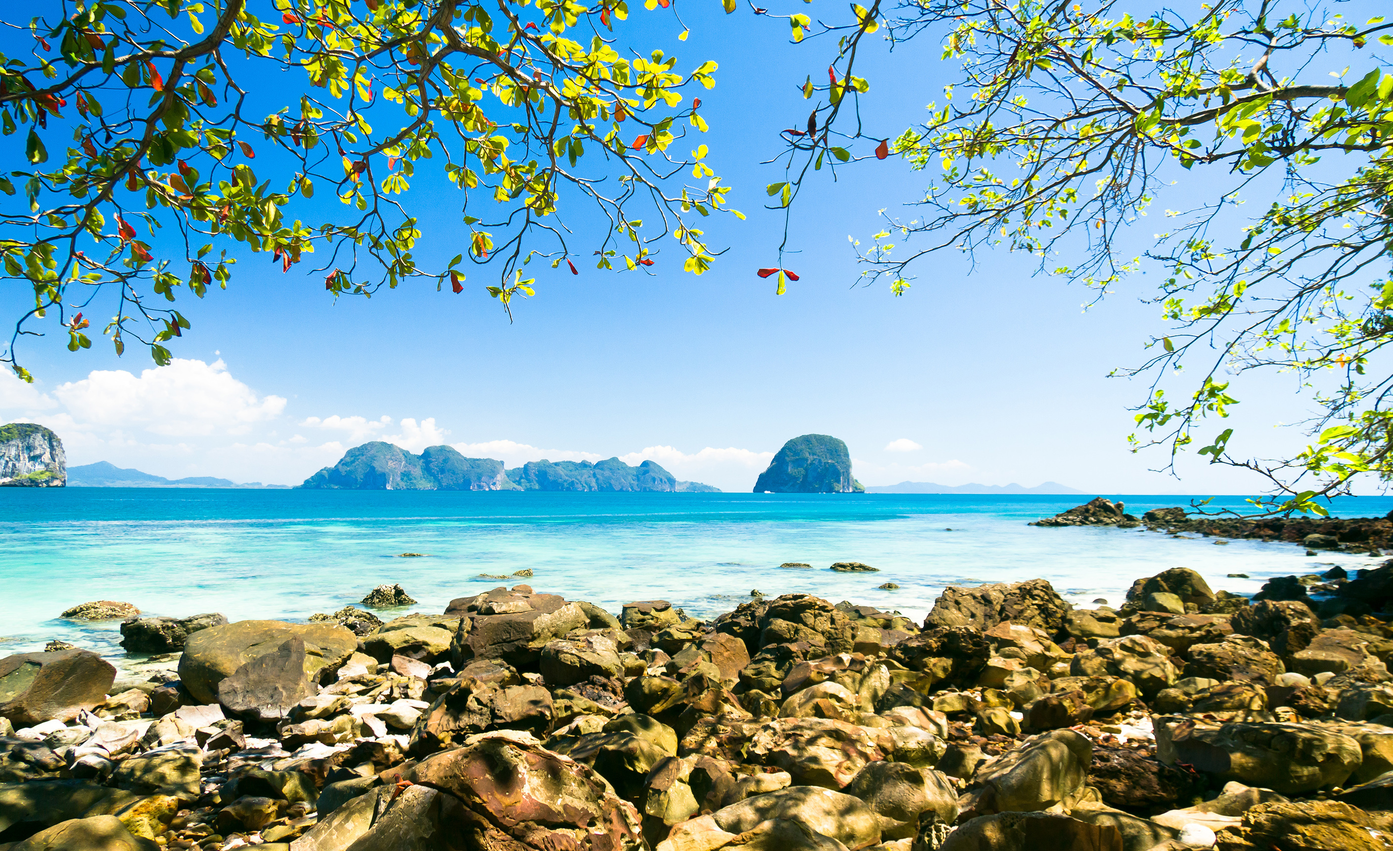 Harbor waters - Nature Wallpaper