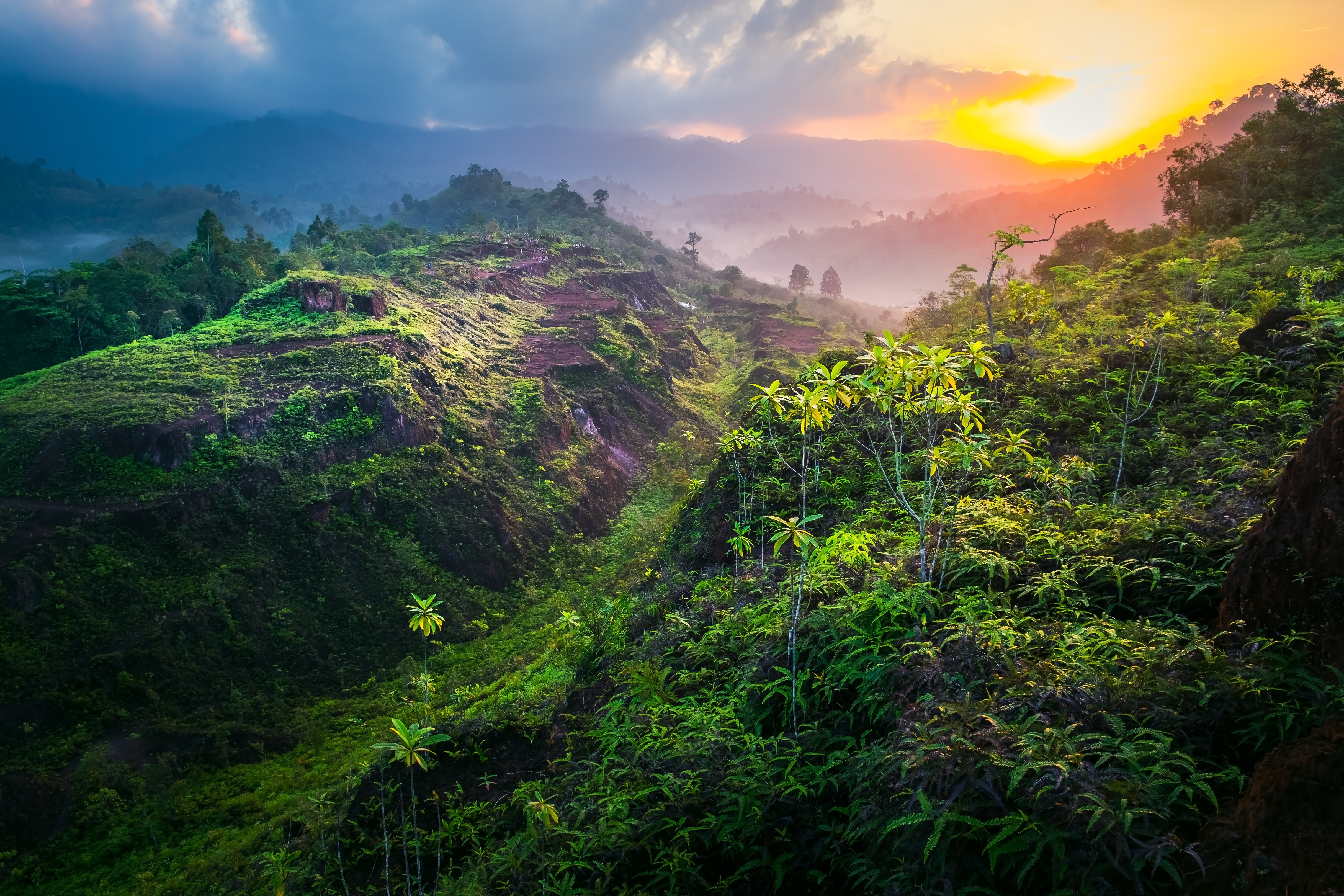 Nature Wallpaper with sunrise in the morning