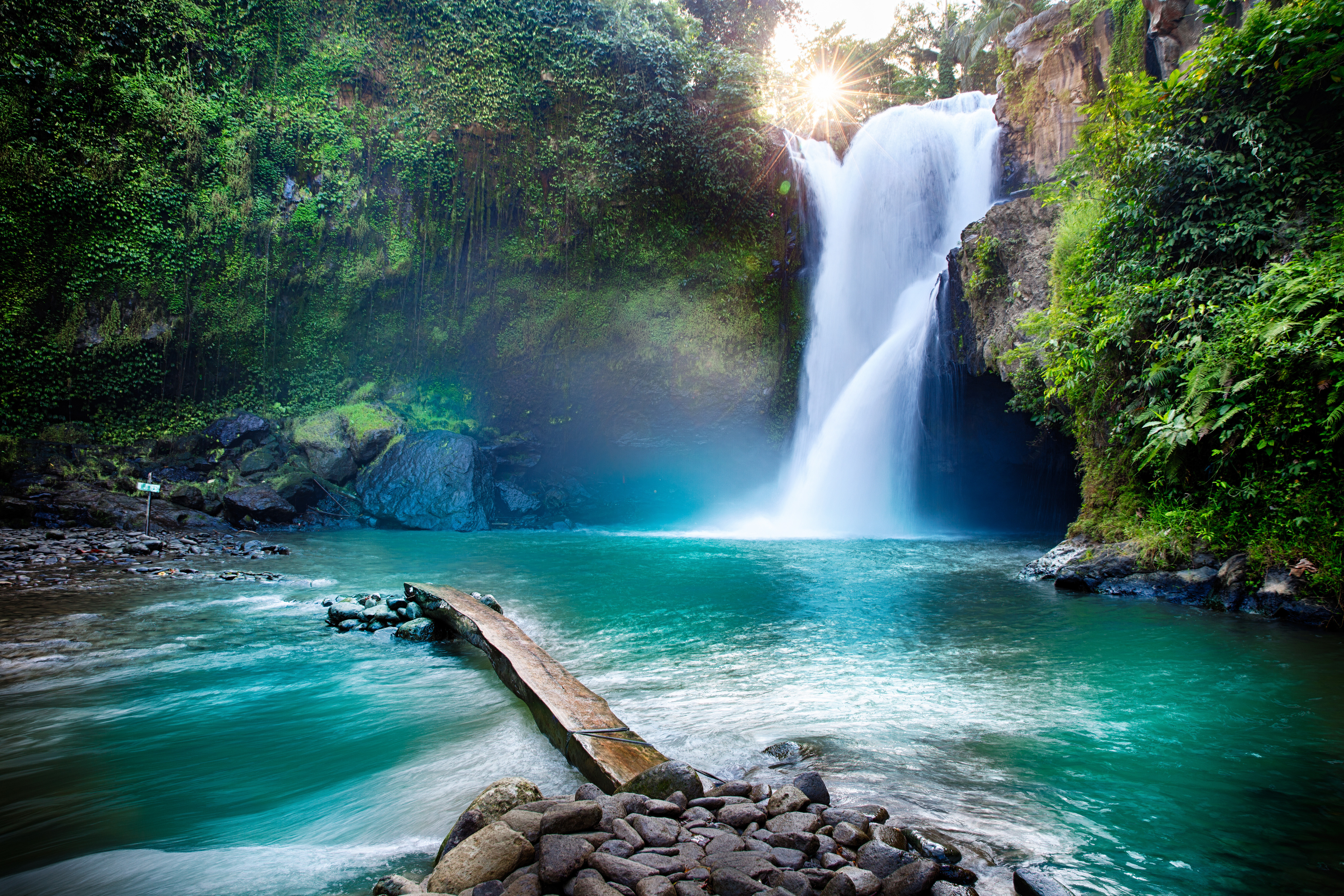 Waterfall hidden in the tropical jungle | Nature Wallpaper