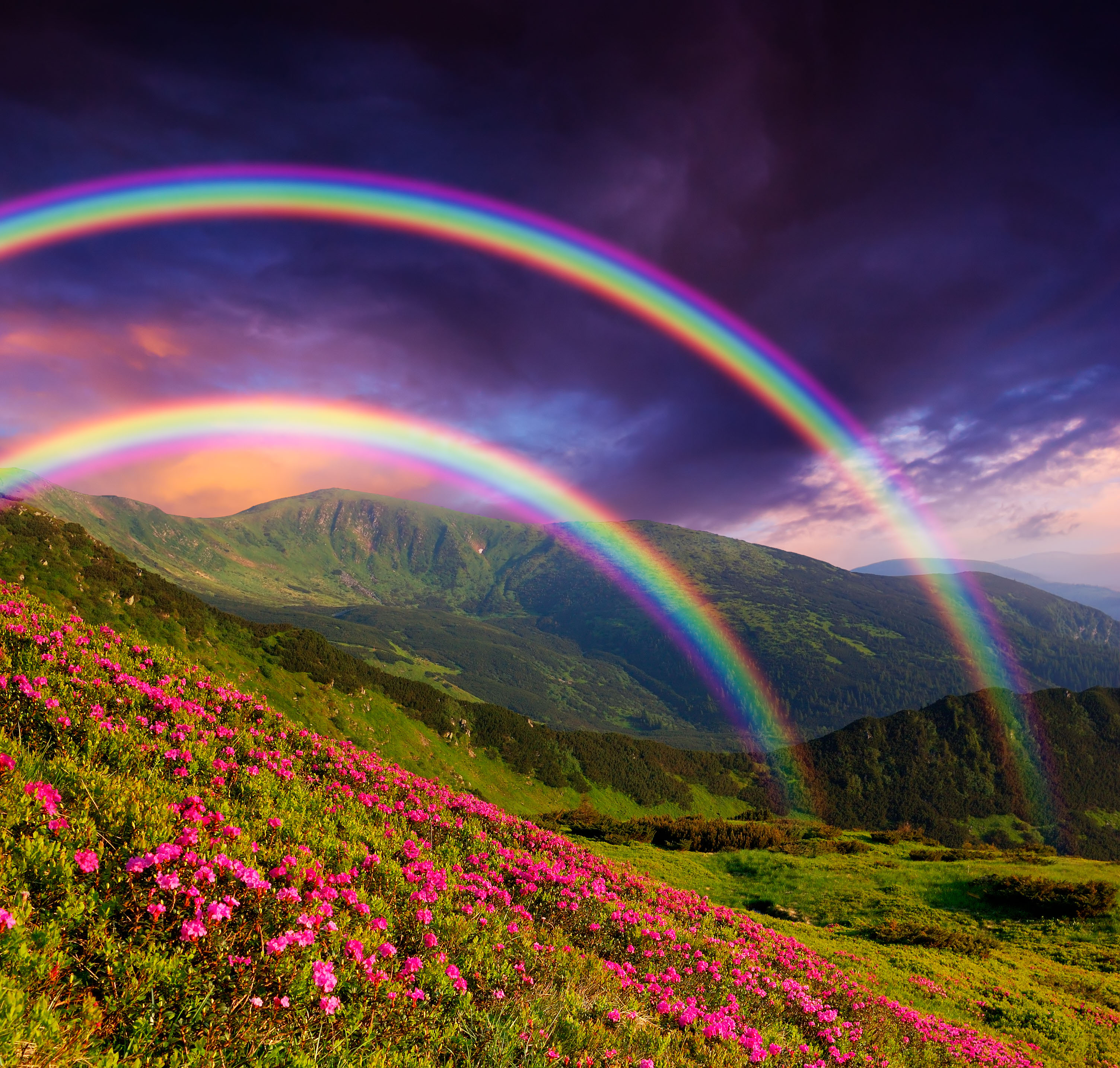 Mountain landscape with a rainbow over flowers