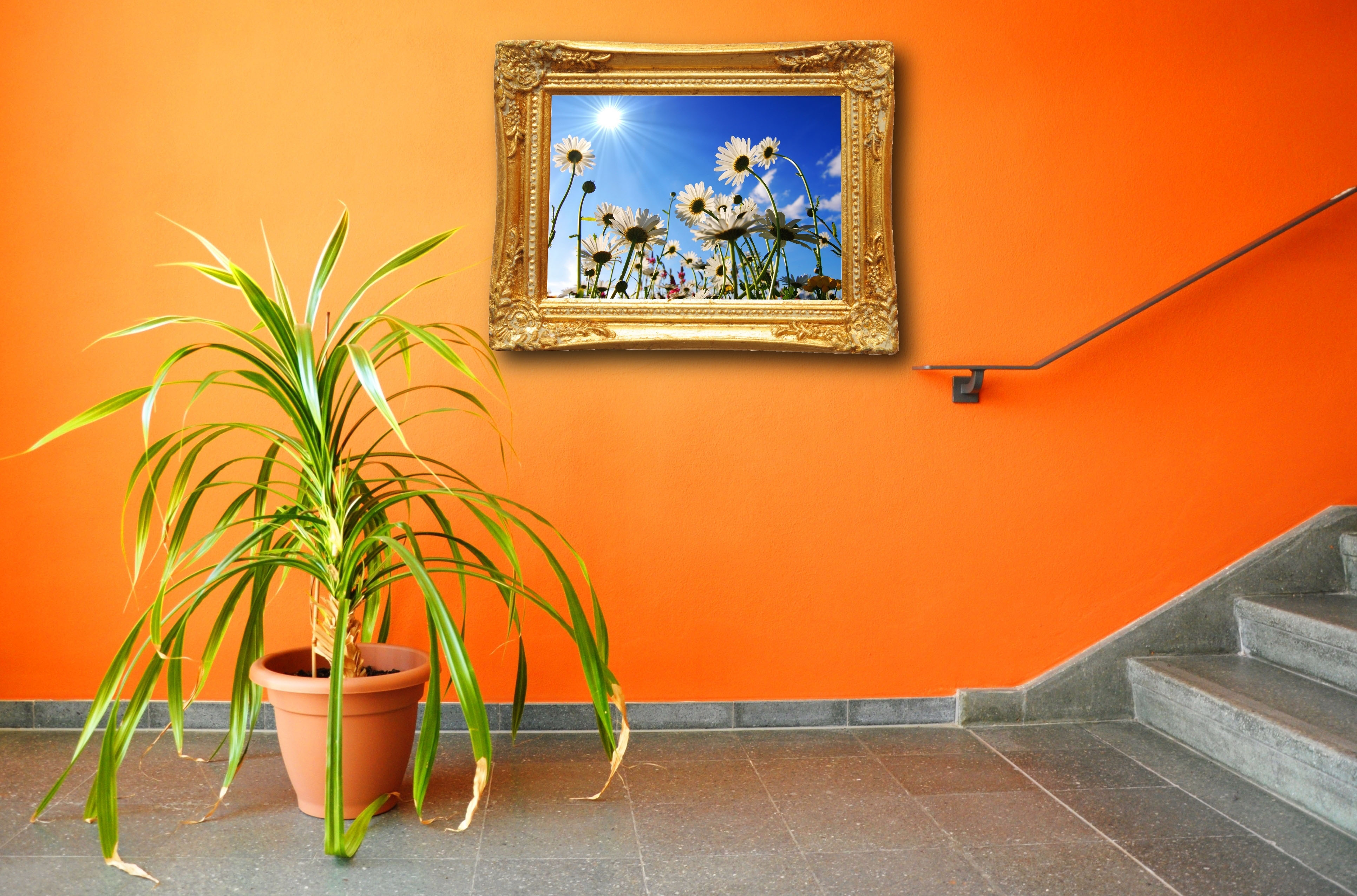 picture on a wall and plant showing interior concept