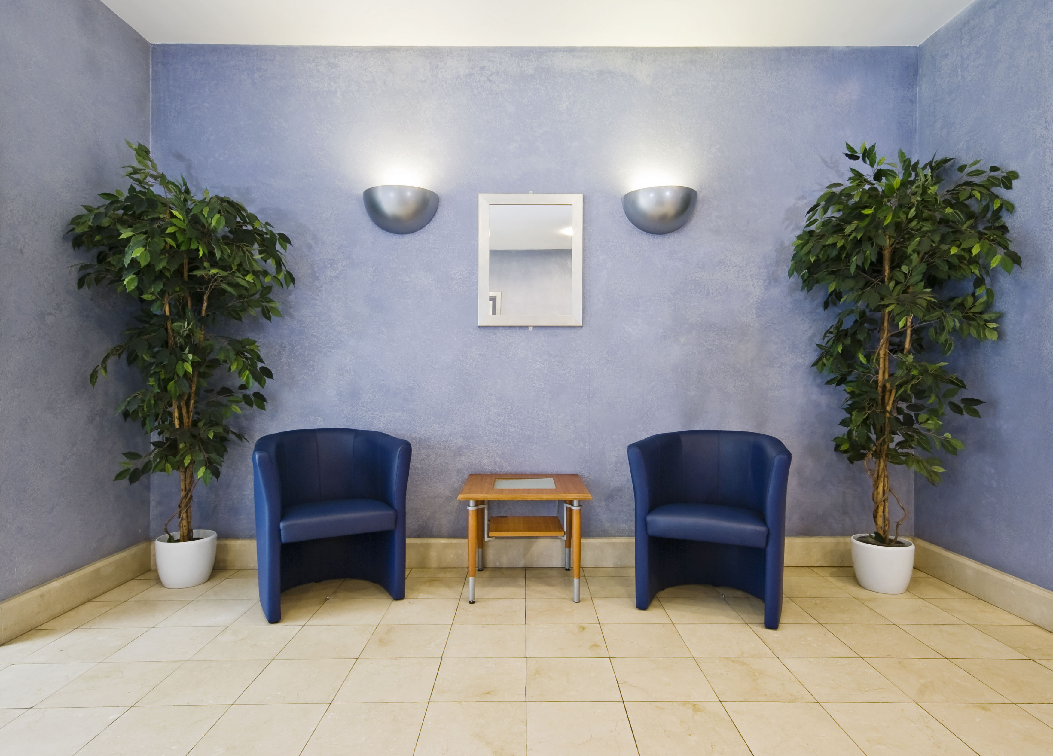 waiting room with blue armchairs and plants