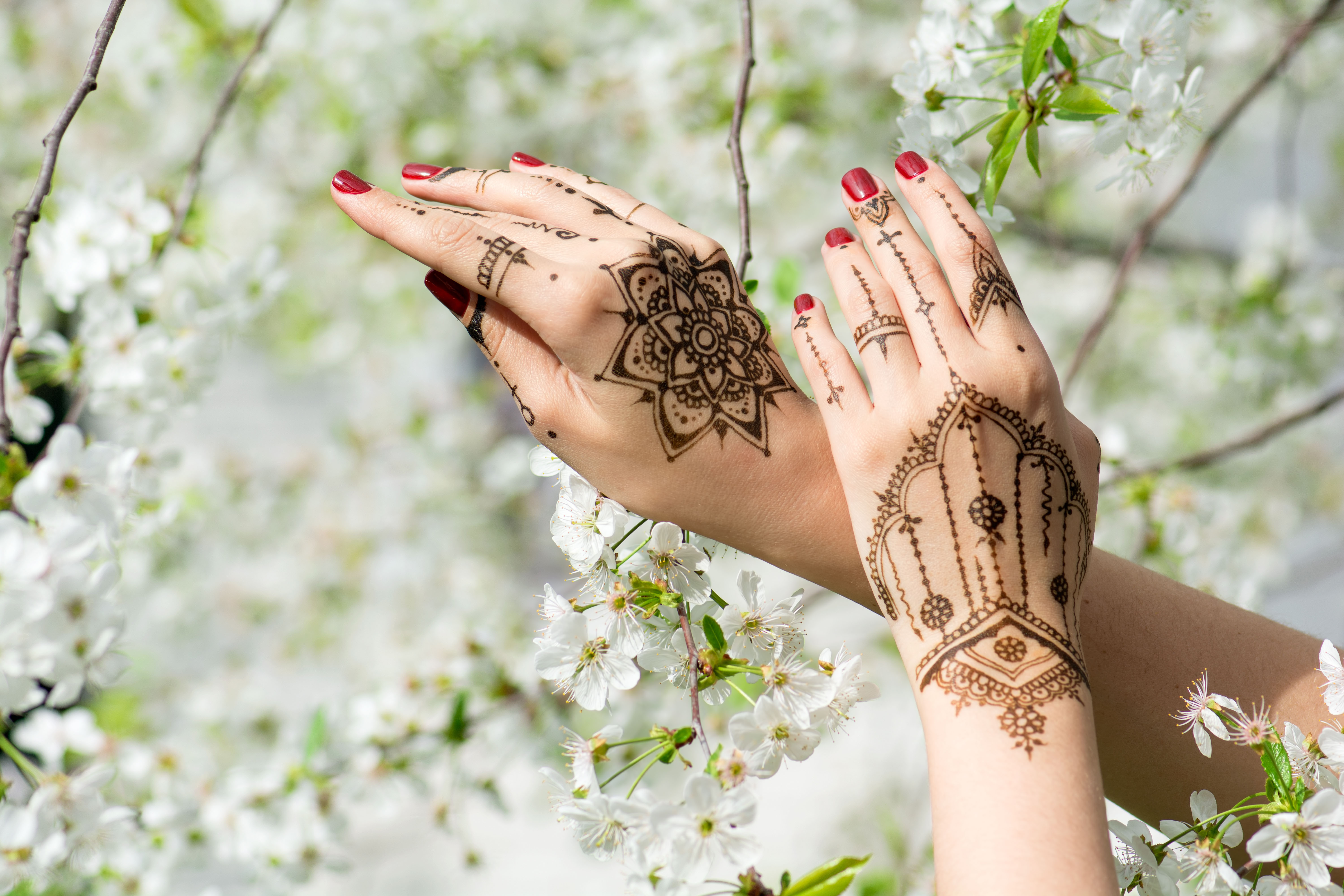 Indian tradition