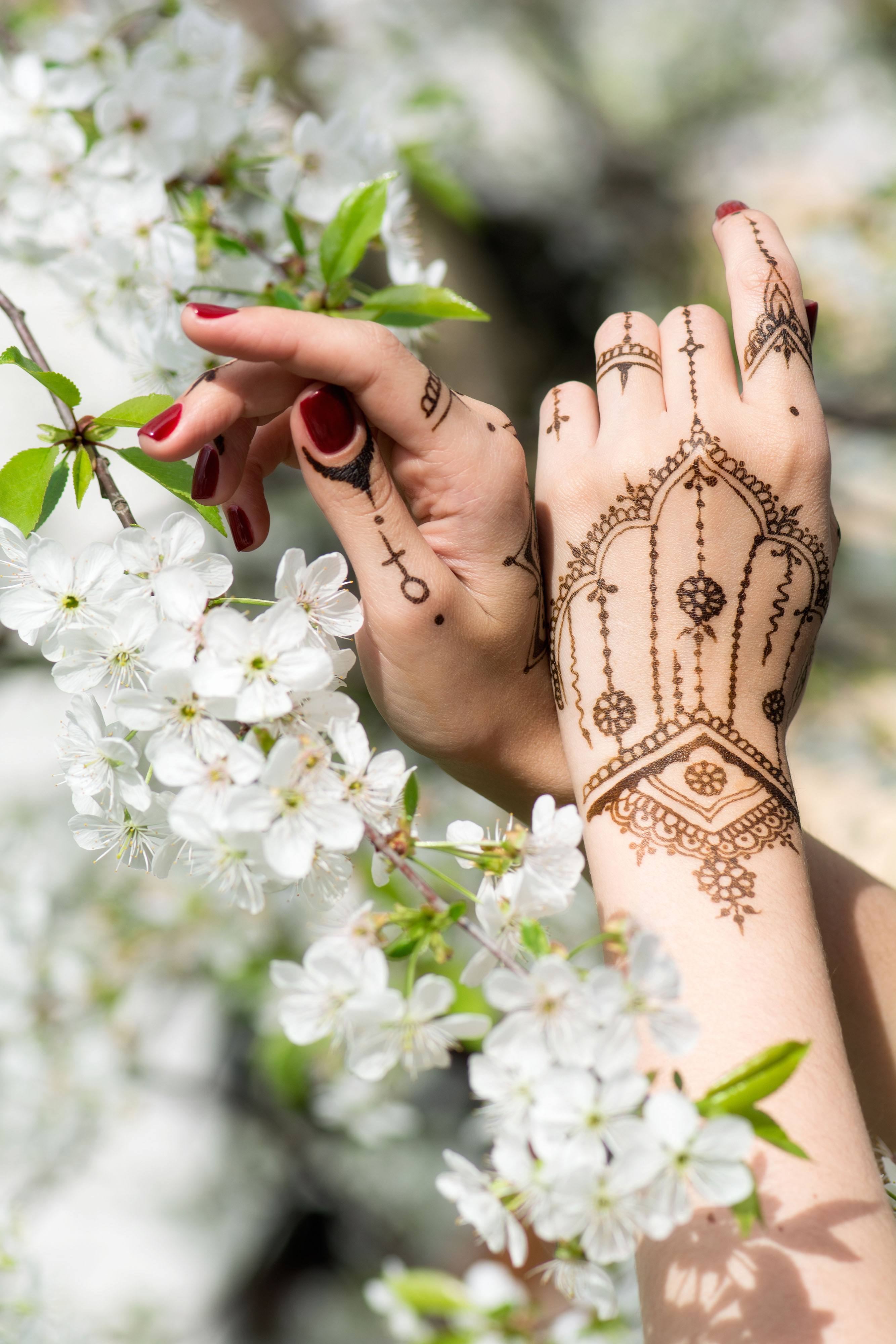 Mehndi in spring cherry blossom, Indian tradition