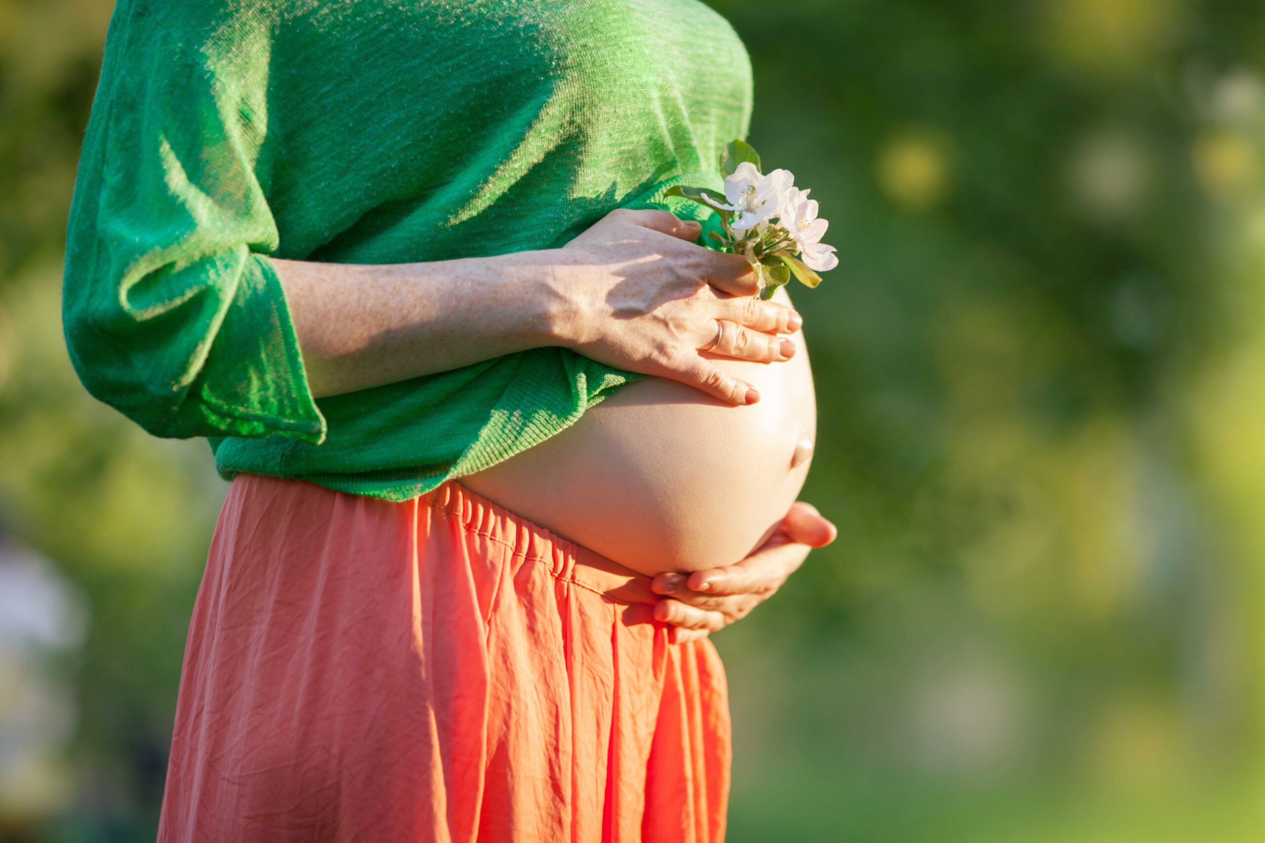 Closeup shot of bare belly of pregnant woman. She's holding a flower by it.