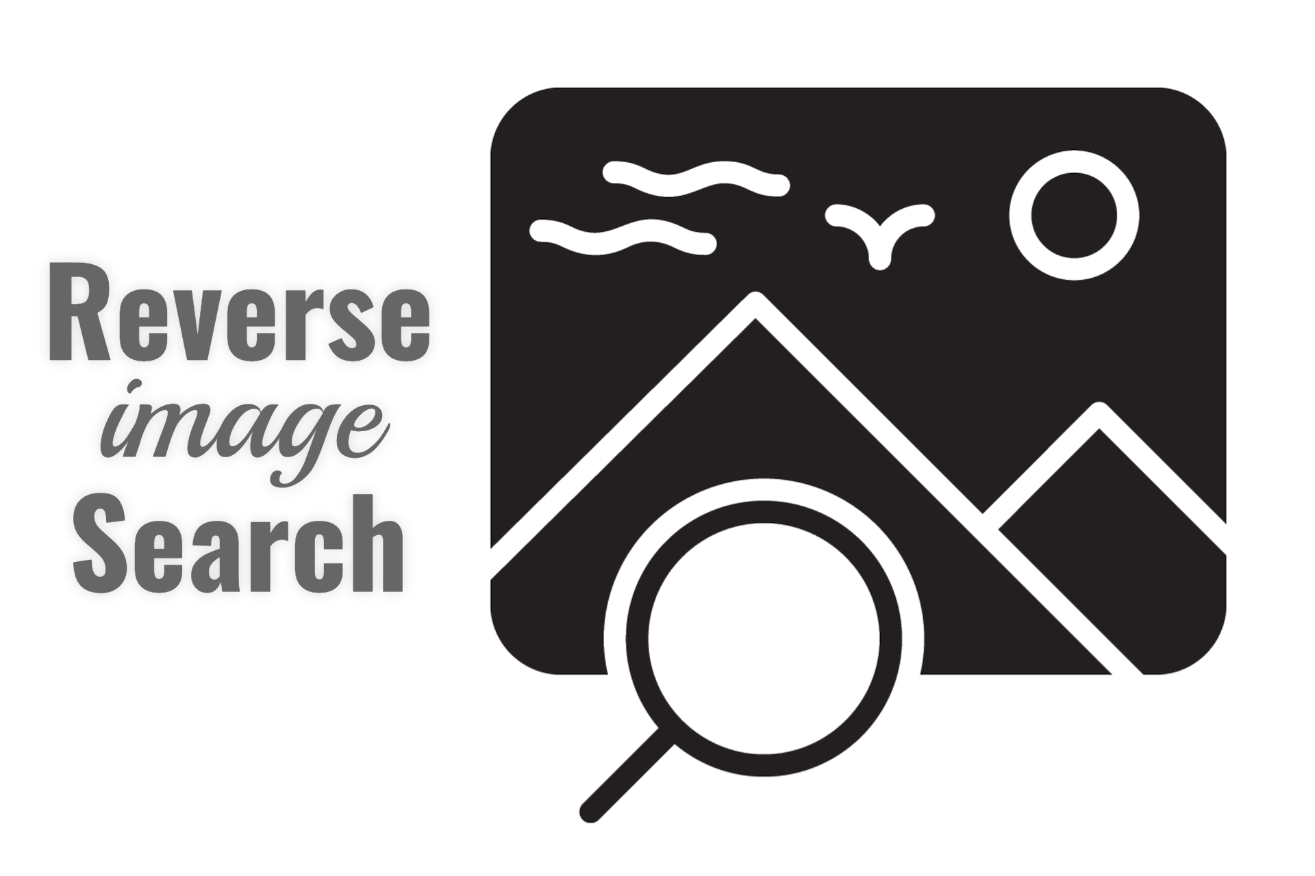 reverse image search