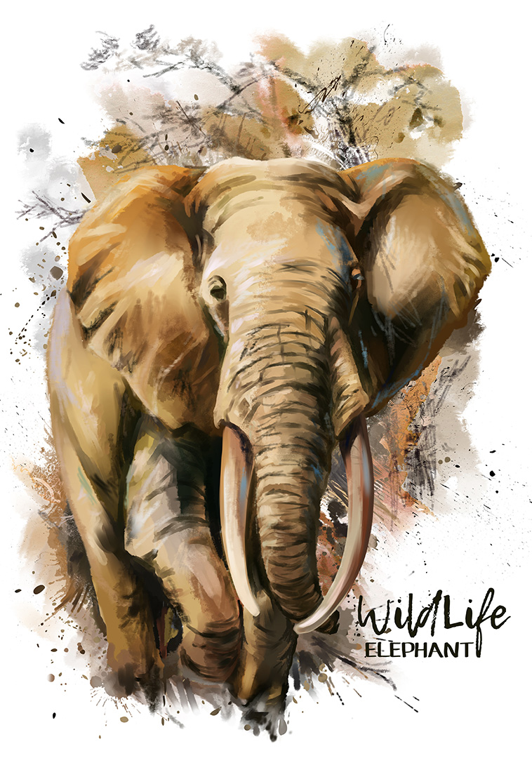 Elephant watercolor painting