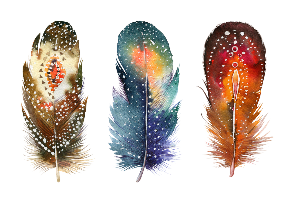 Hand drawn watercolor vibrant feather set