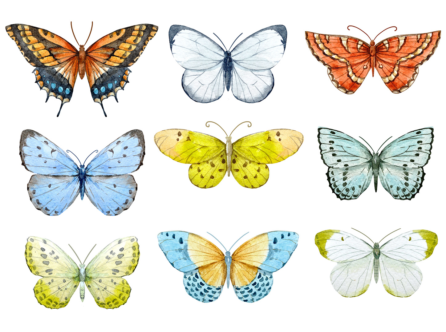 Set of beautiful watercolor butterflies