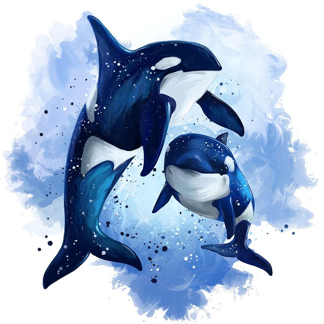 Two killer whales in the ocean