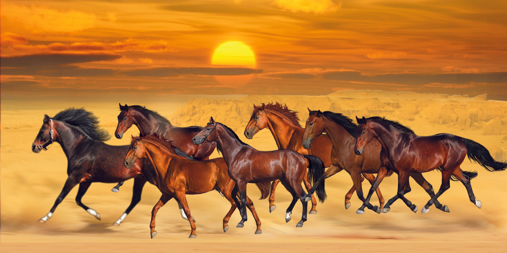 Brown seven running horses on sea cost sunshine natural background