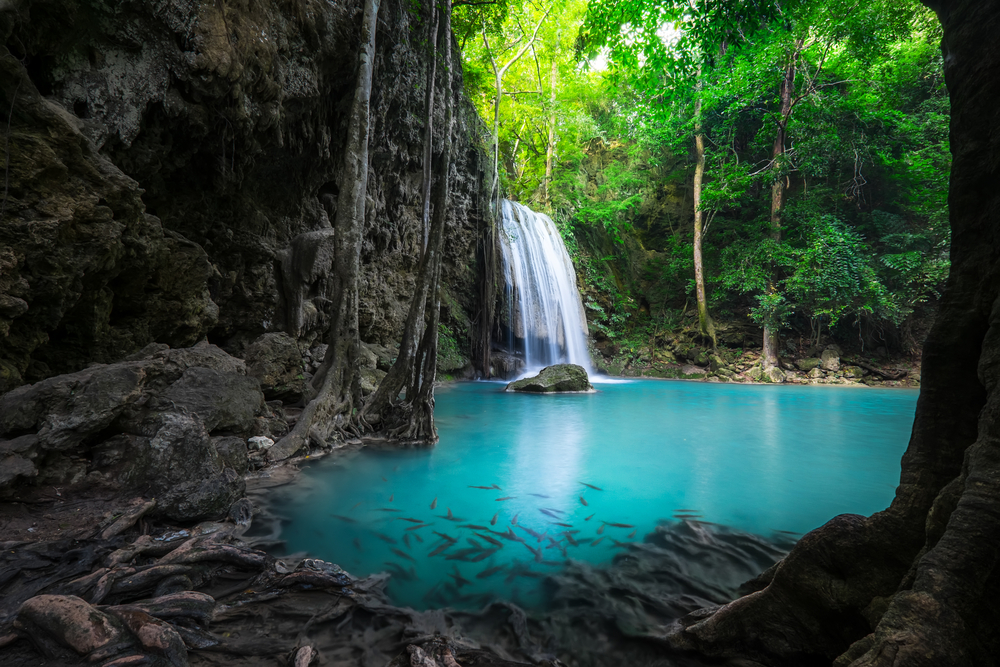 Jungle landscape with flowing turquoise water