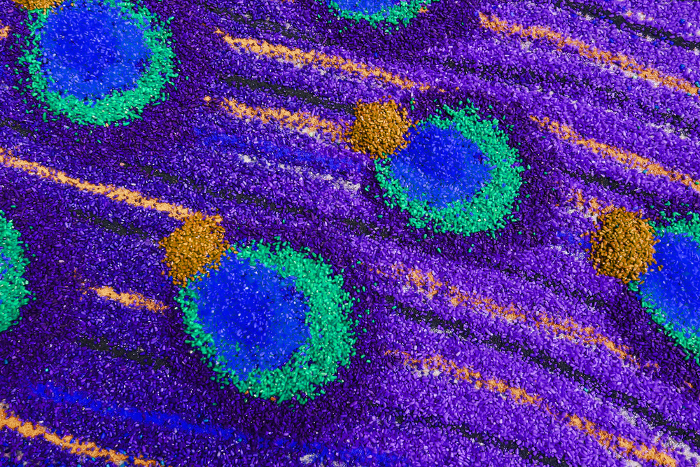 Peacock feather Rangoli Art