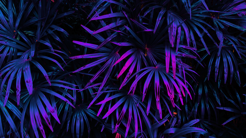 Tropical leaf forest glow in the dark background