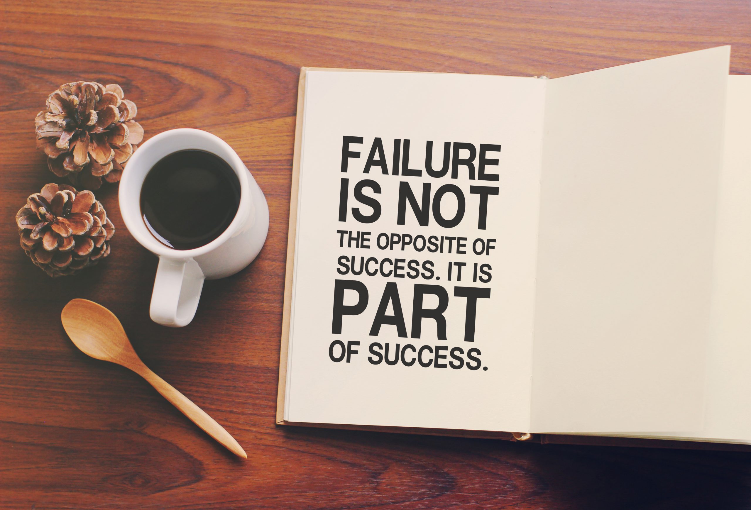 Failure is not the opposite of success. It is part of success