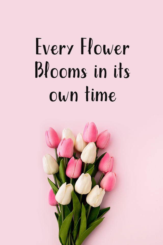 Every Flower blooms in its own time