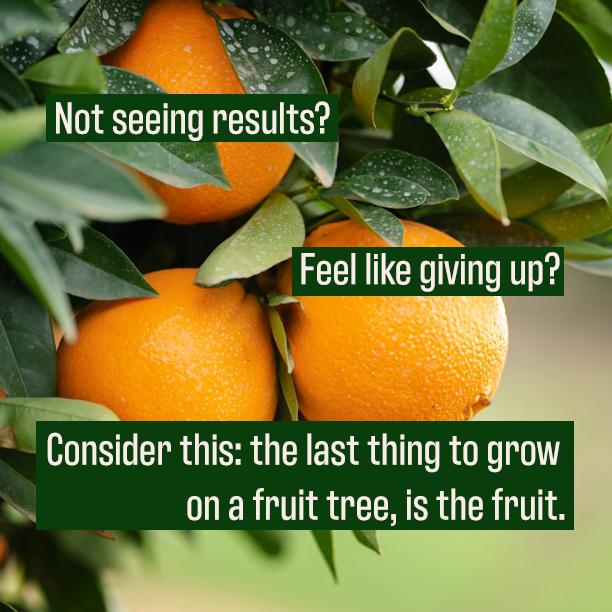Feel like giving up? Consider this: the last thing to grow on a fruit tree, is the fruit
