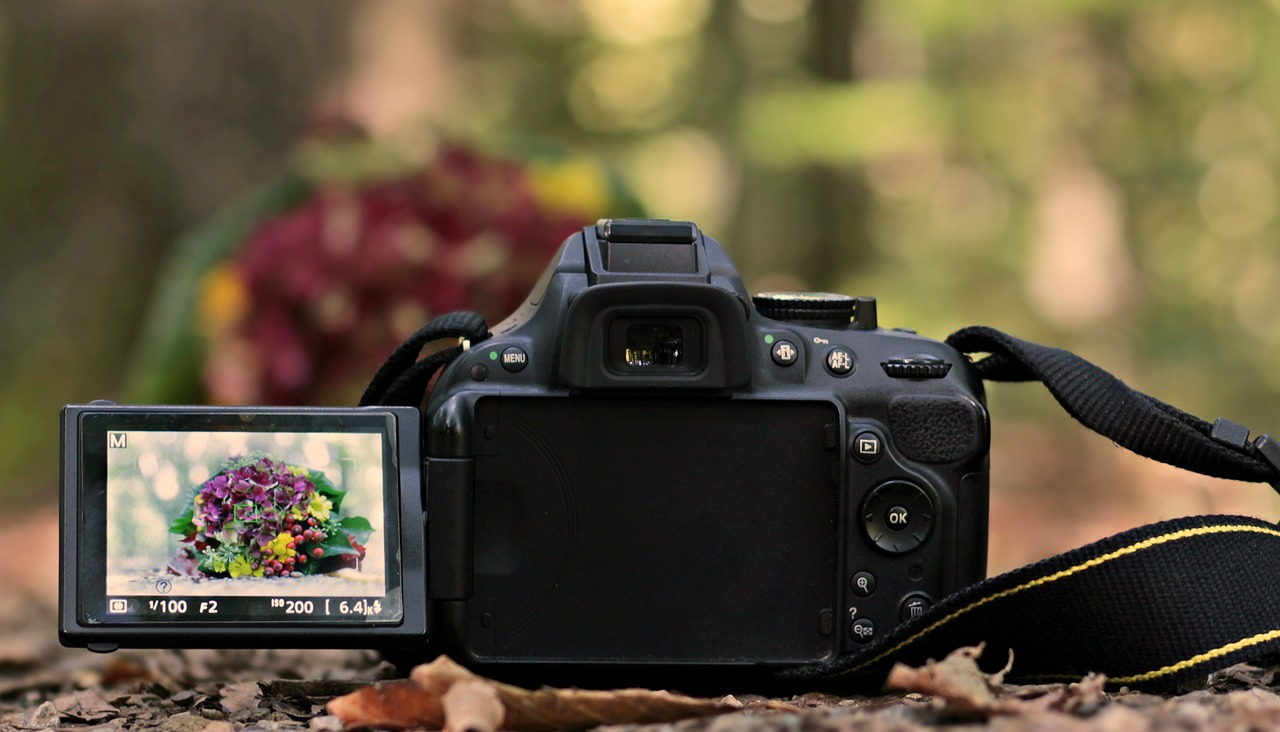 Flower Photography Tips