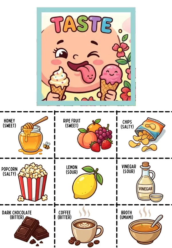 5 sense organs activity sheet for kindergarten - Taste