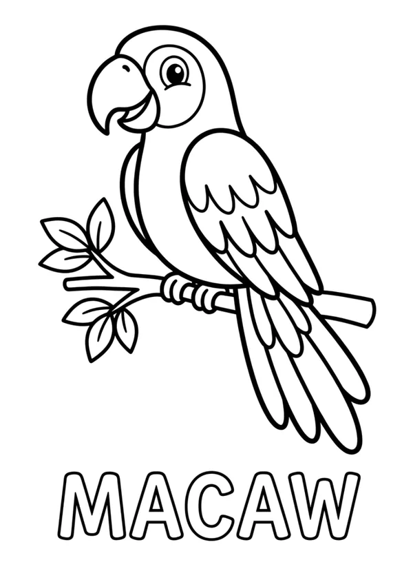 Bird Coloring Sheet - Macaw