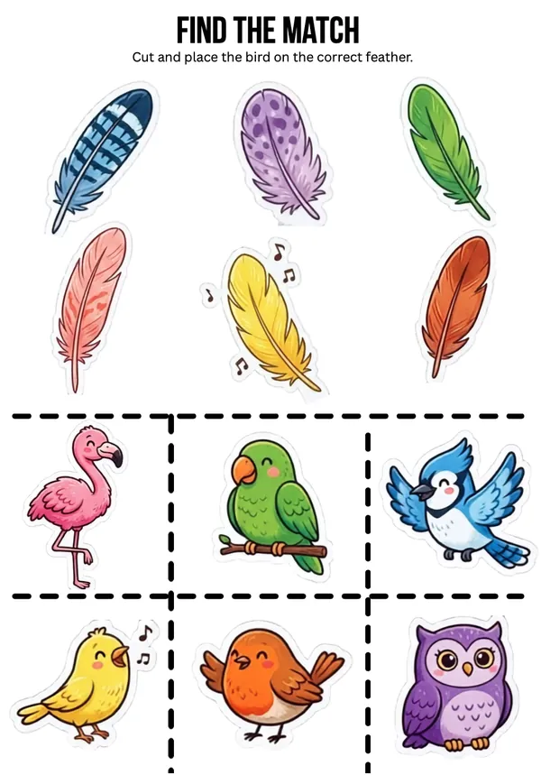 Find the match birds and feather 1