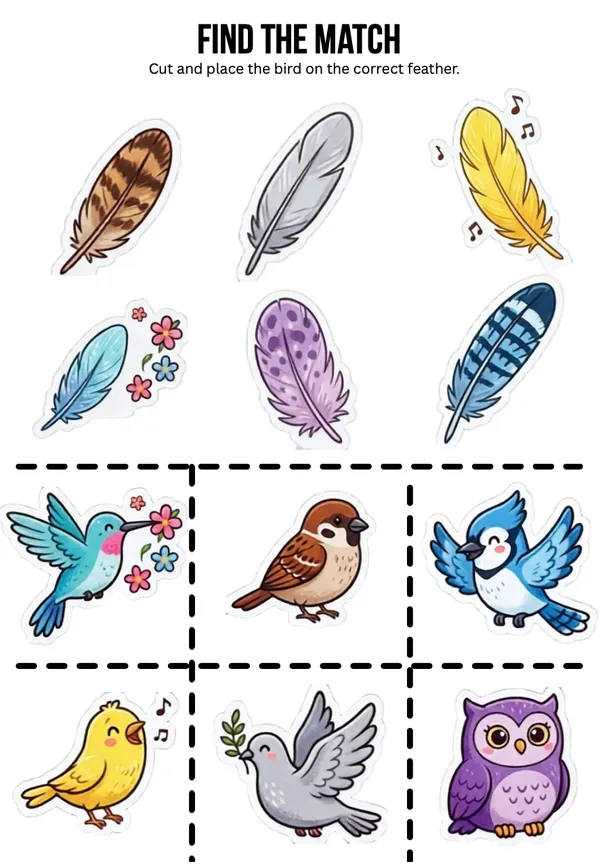 Find the match birds and feather 2