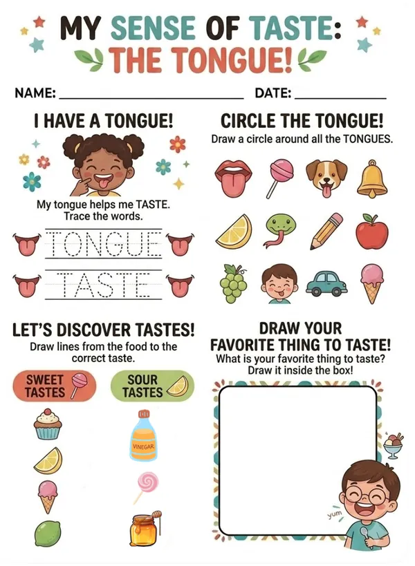 My Sense of Taste The Tongue worksheet