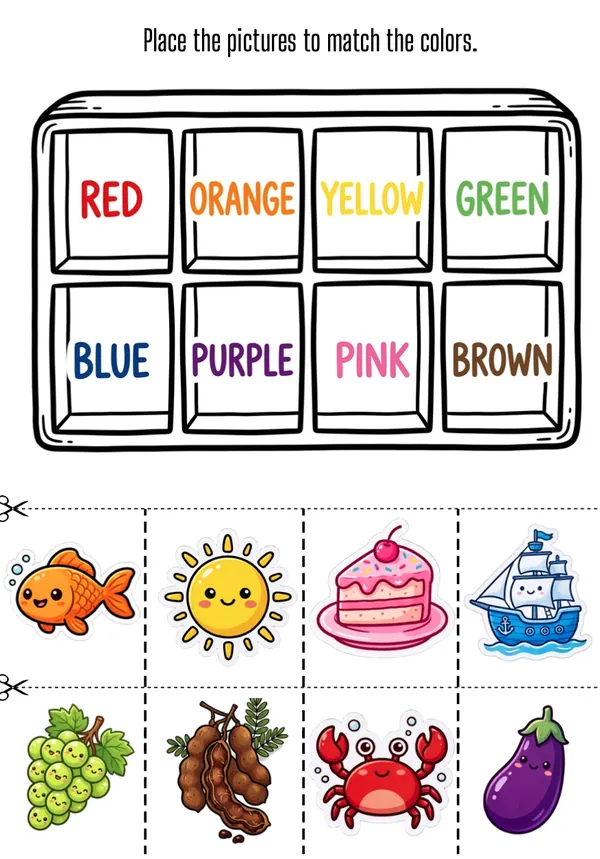 Place the pictures to match the colors in the box