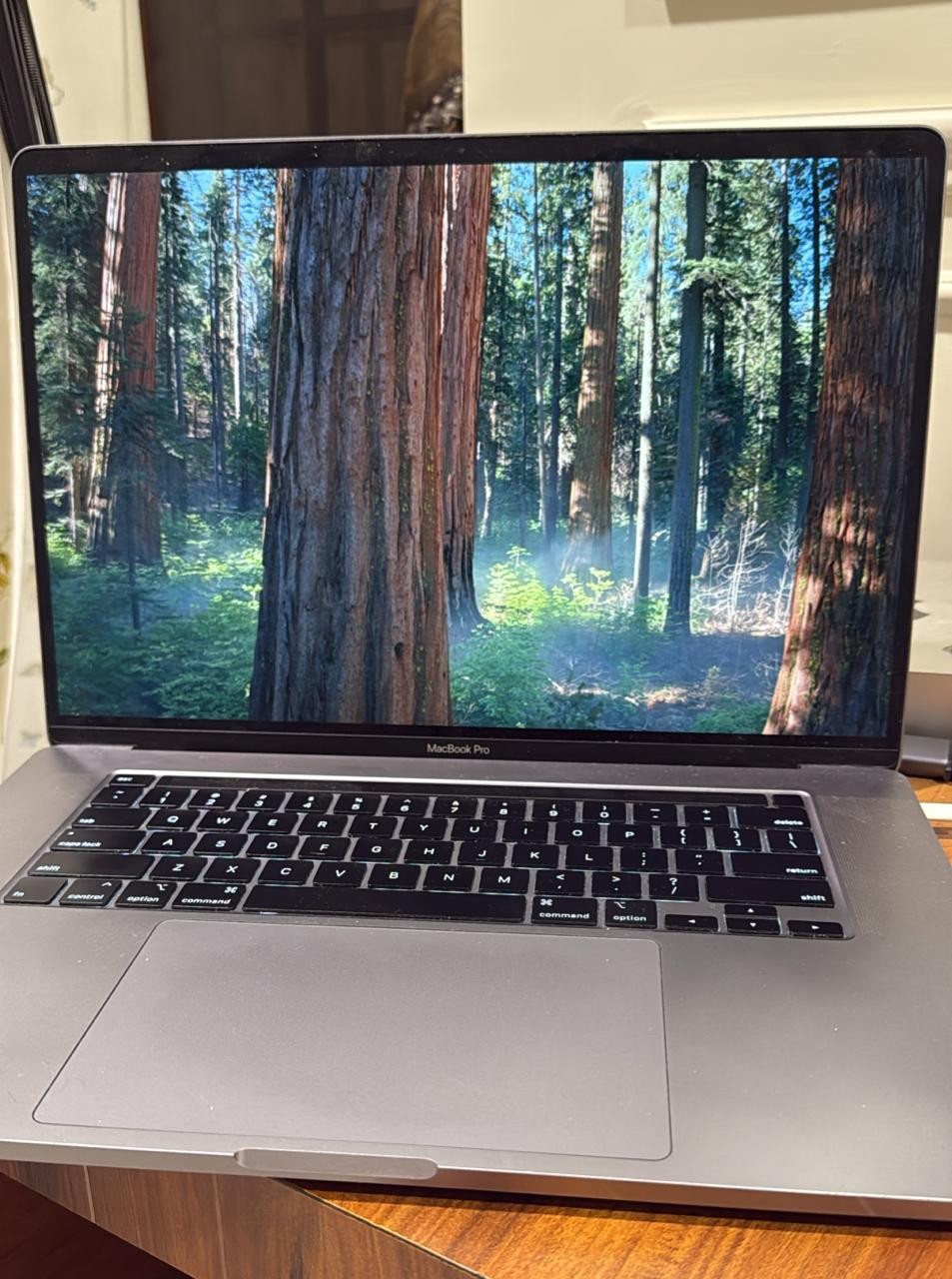 Apple MacBook Pro Laptop