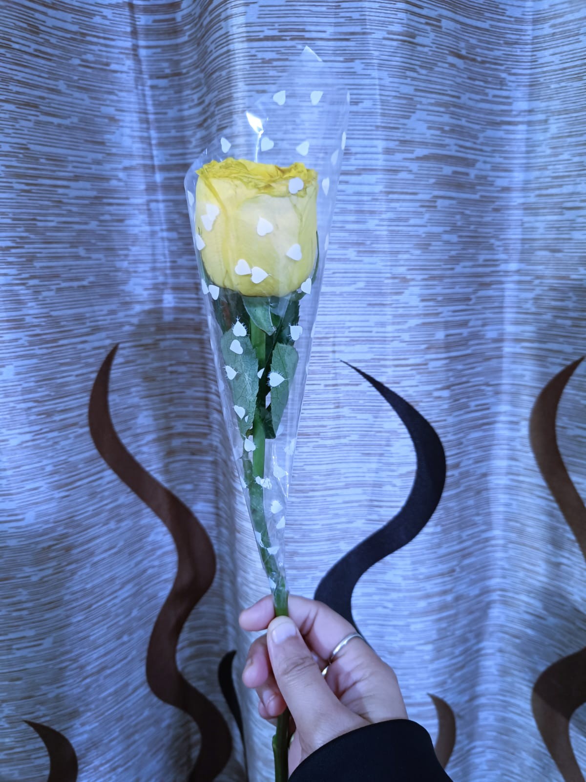 “Yellow Rose of Warmth”