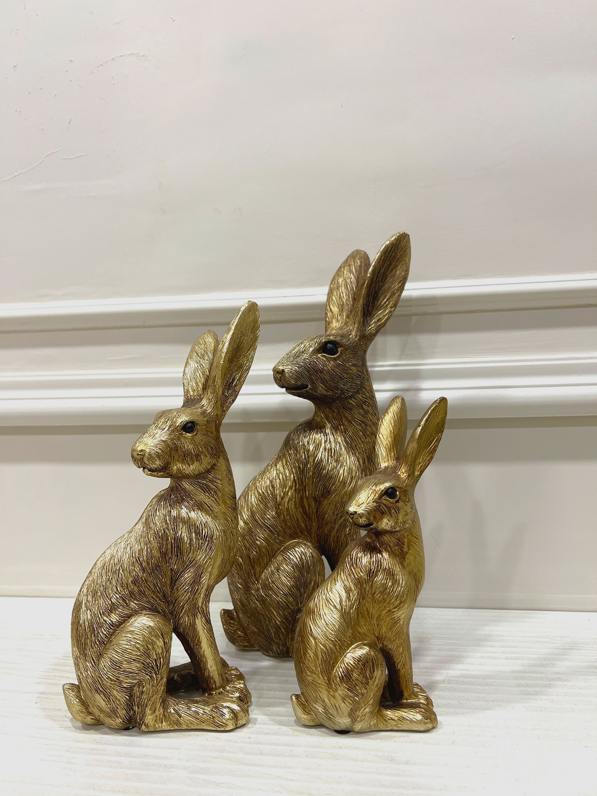 Rabbit Family